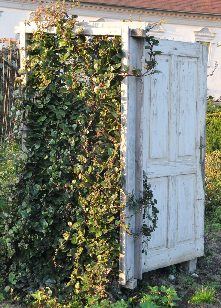 Türen öffnen, Grün hereinlassen.